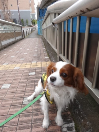 何でかな