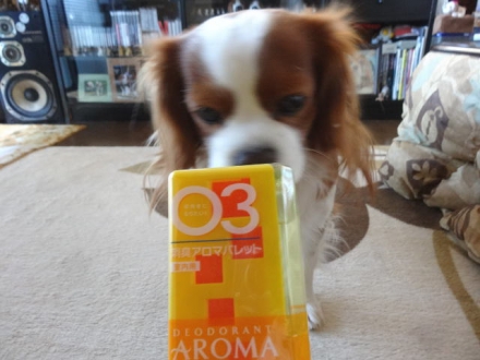 臭いぞー