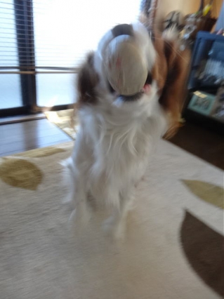 パチパチ