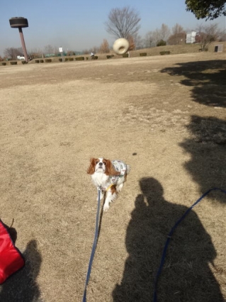 出来たよ