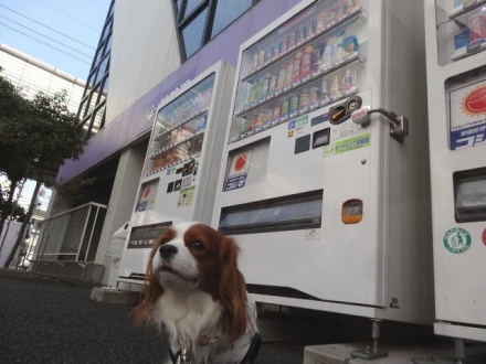 うるさいよ