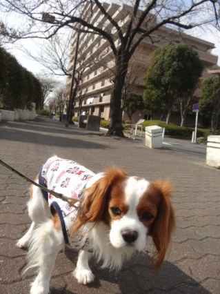 ガックリ