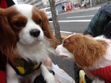 ちっちゃい