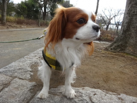 臭うぞー