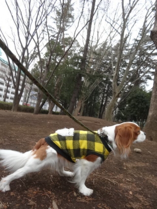 待つのだ