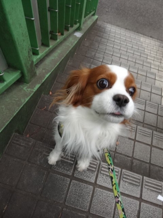 行かないぞー