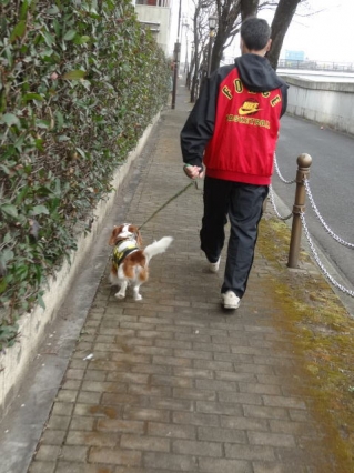 行けるかな?
