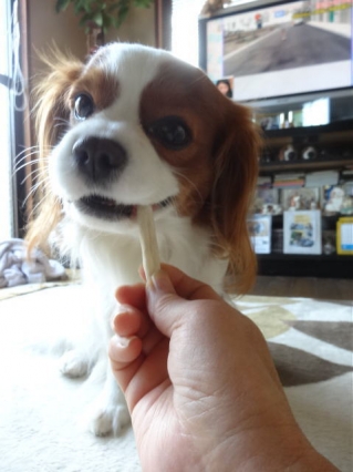 おいおい