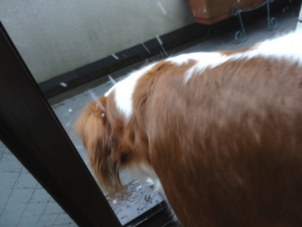 行ってみよう