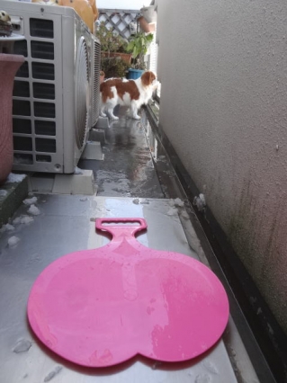 母が亡くなった年に..