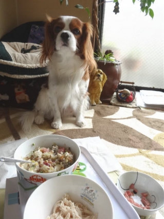 完食