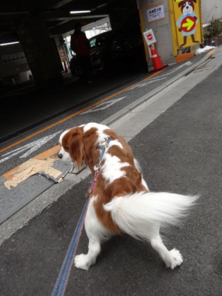 大丈夫だよ