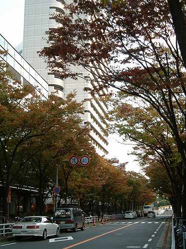 pavement