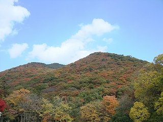 pusan
