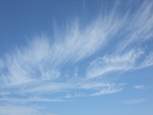 sky158