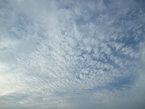 sky163