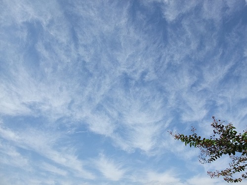 sky164