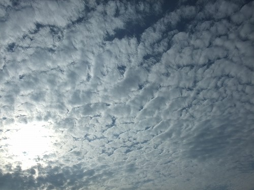 sky182
