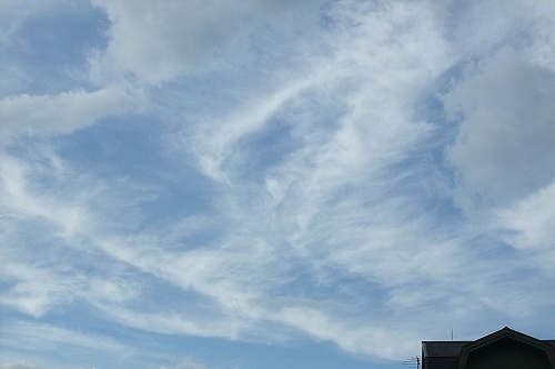 sky185