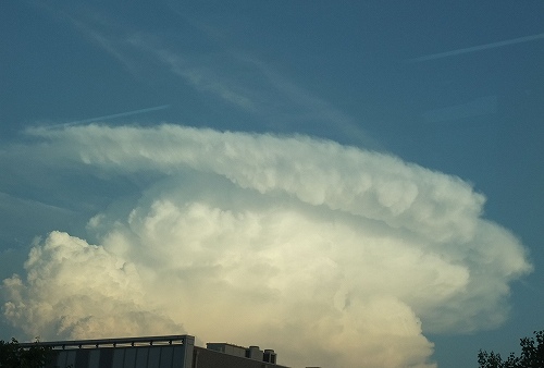 sky186