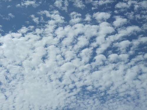 sky187