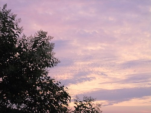 sunset175