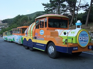 tanubi