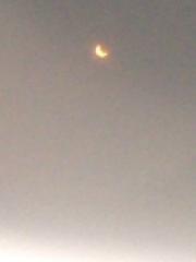 IMG_1879.jpg
