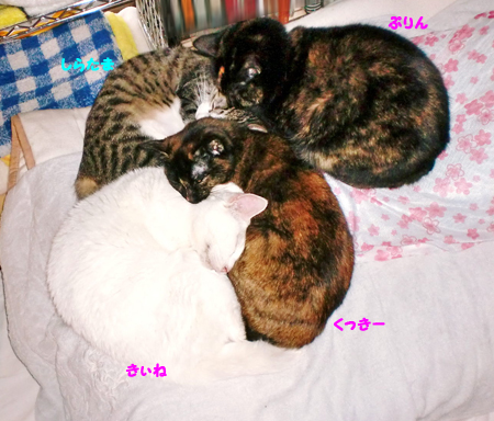 うじゃ