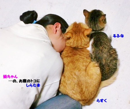 うじゃ