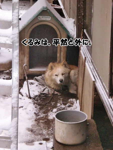 くるみ