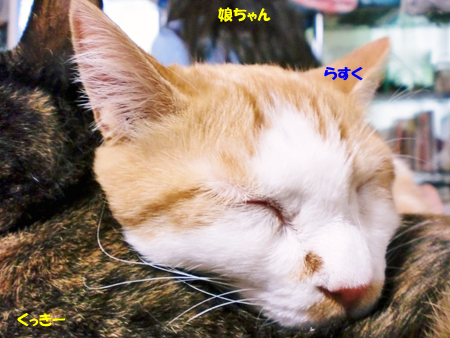 らすく