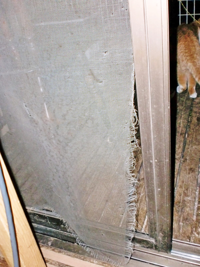 0610-0.jpg