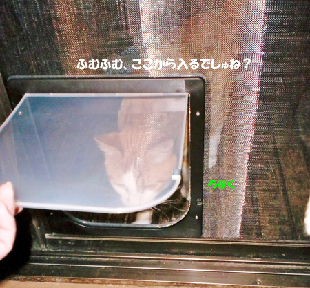 0610-5-1.jpg