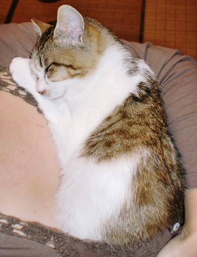 るふな