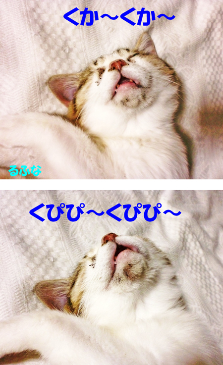 るふな
