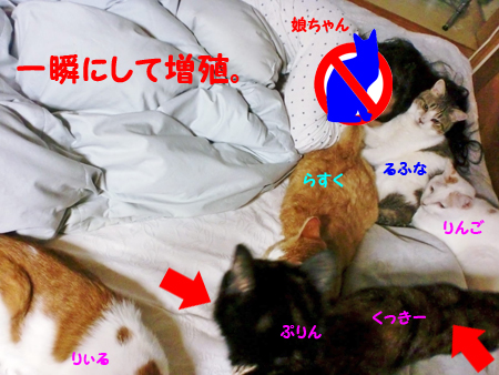 うじゃ