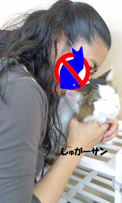 しゅがーさん