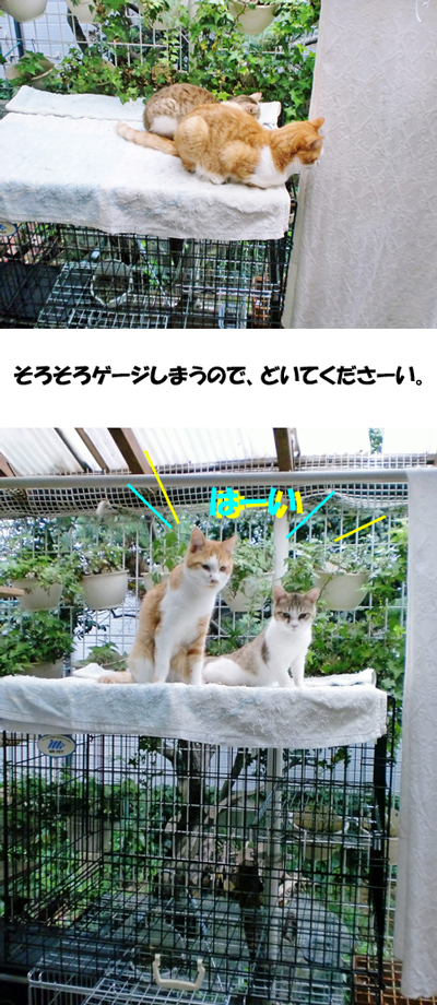 ベランダ