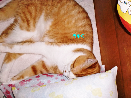 らすく
