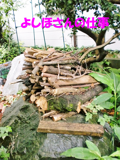 ゴミ山2