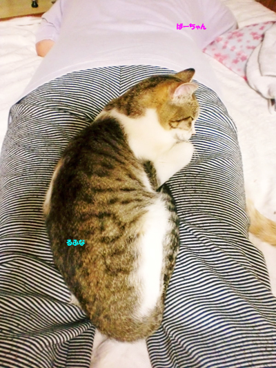 るふな