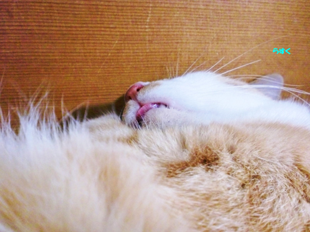 らすく