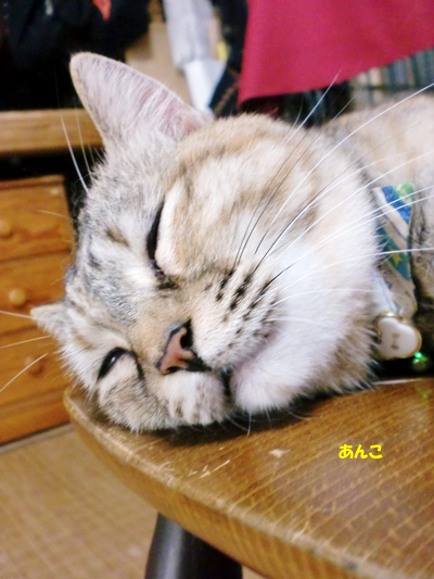 あんこ