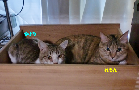 れもん+るふな