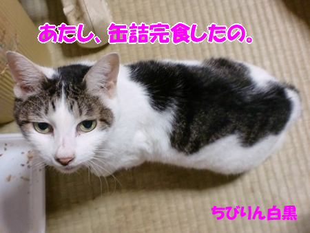 ちびりん白黒