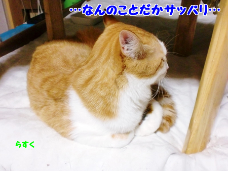 らすく