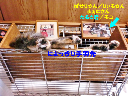 あし1