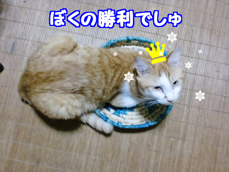 らすく