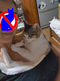 るふな